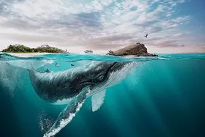 Морские 3D