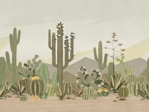Сacti in the desert