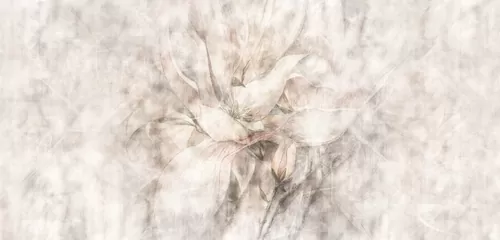 Avrora