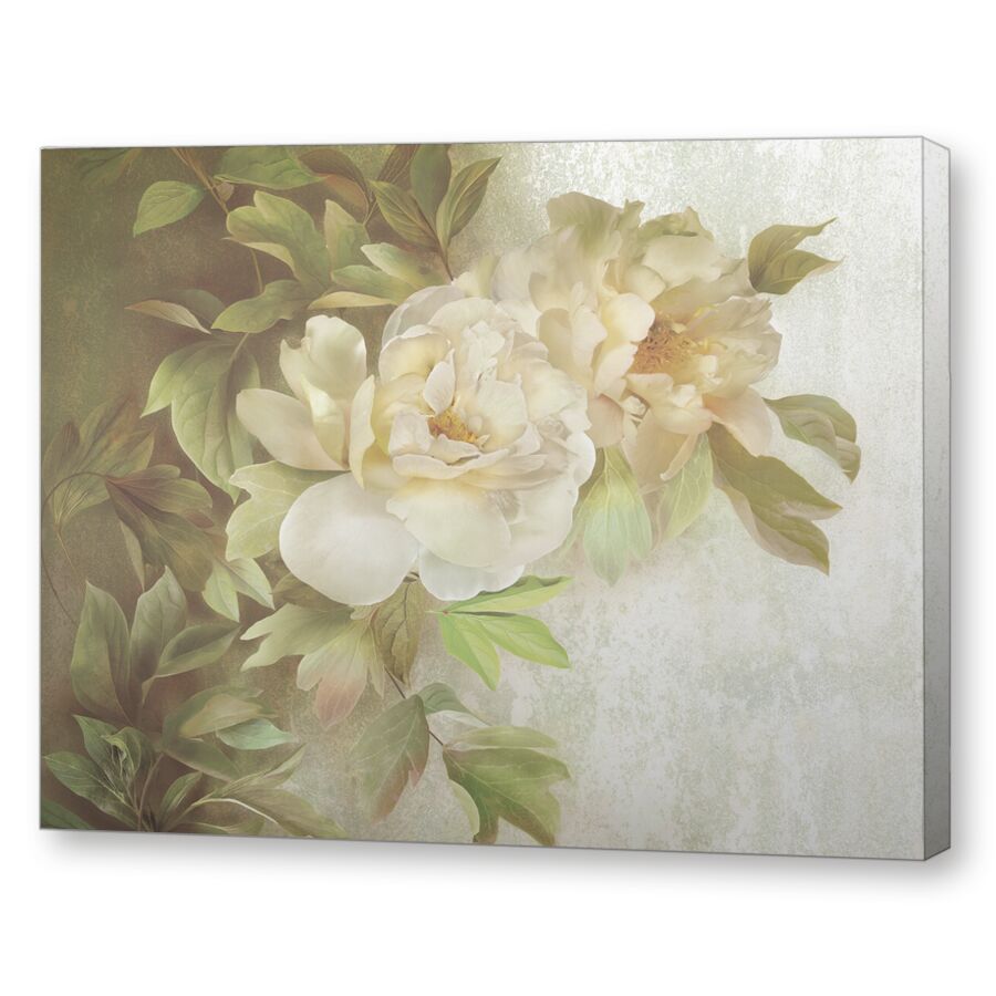 Wild rose sepia на подрамнике