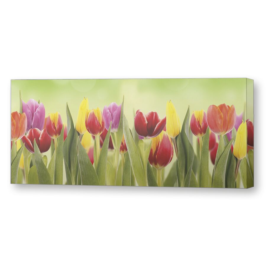 Тюльпаны на зеленом фоне на подрамнике