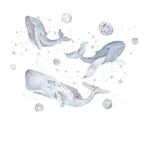 Moon whales