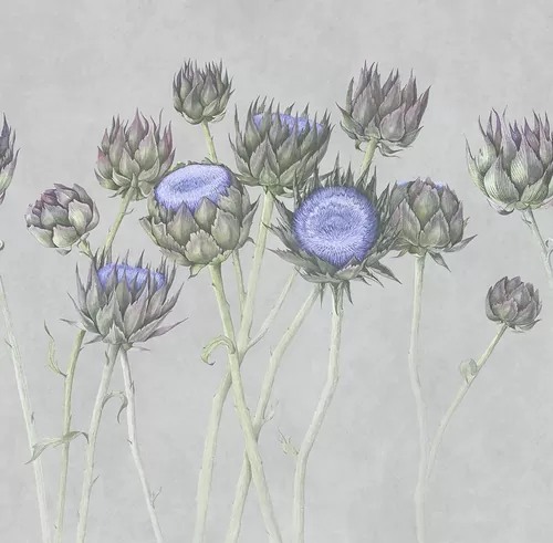Artichoke