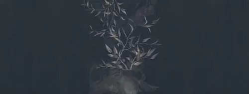 Alberi
