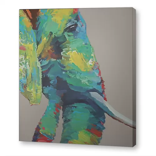 Красочный слон