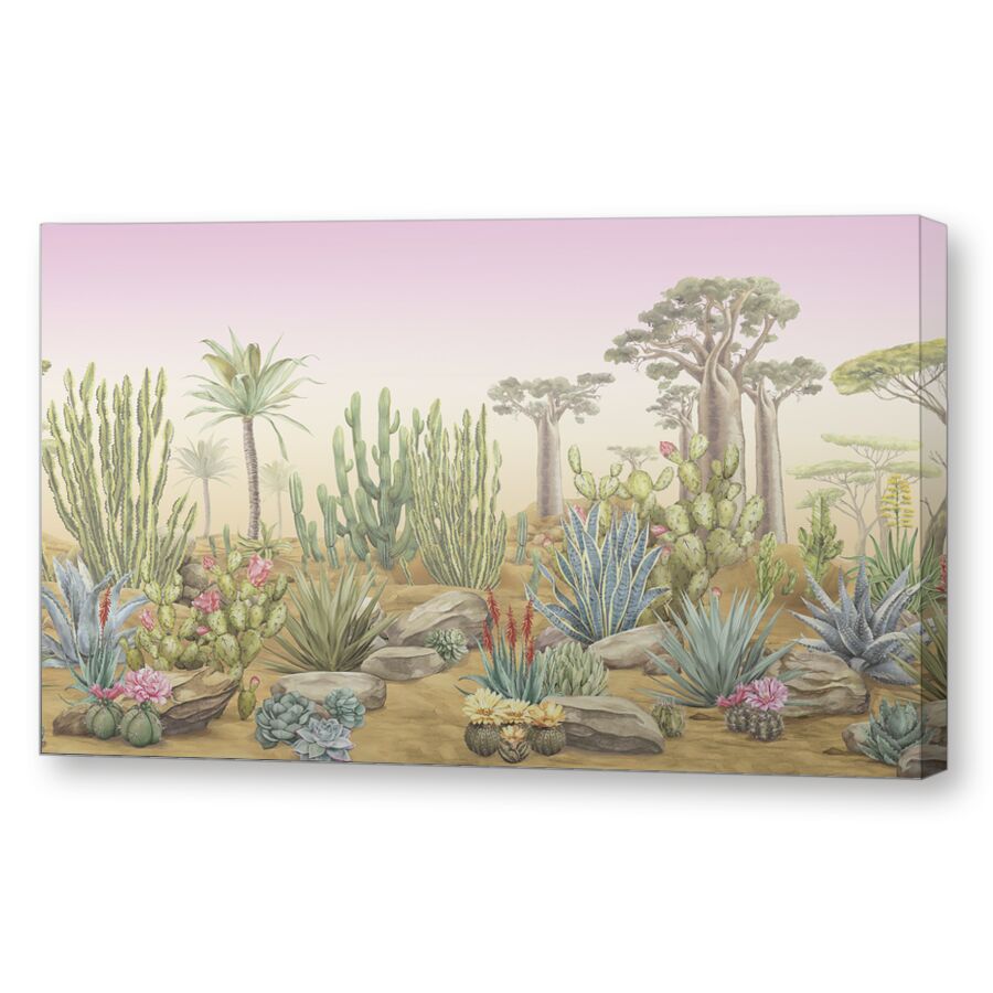 Desert flora sunset на подрамнике