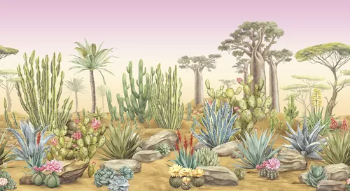 Desert flora sunset