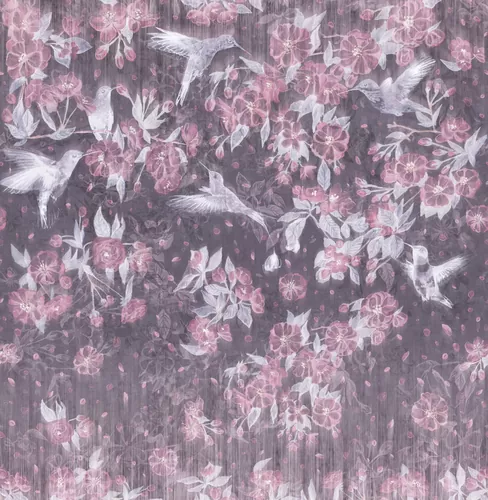 Colibri