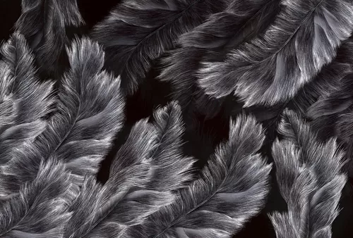 Fuzz dark