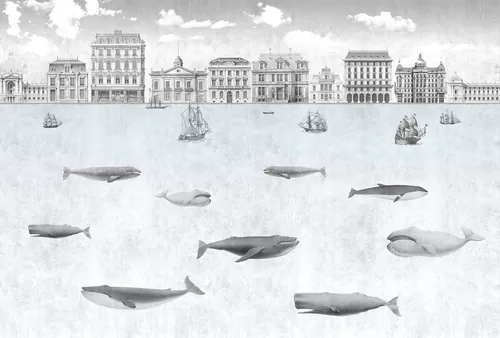 Whales 1
