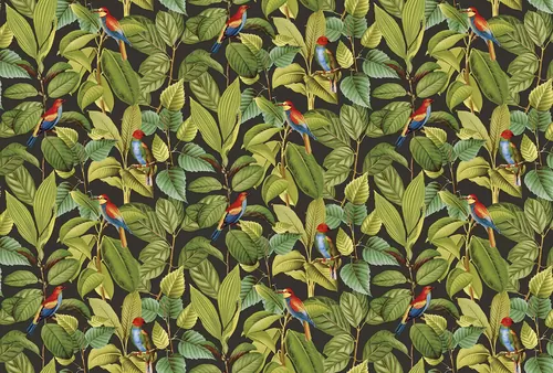 Tropicana