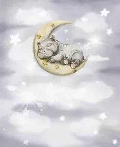 Спящий бегемотик