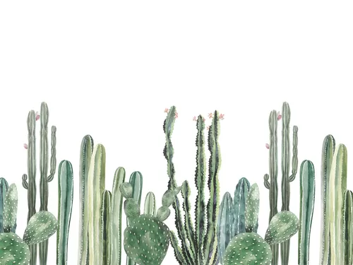 Сactus watercolor