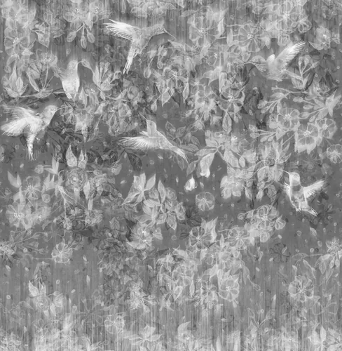 Colibri