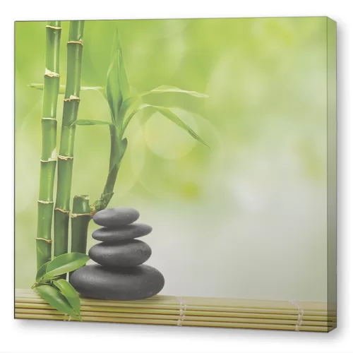 Бамбук и галька