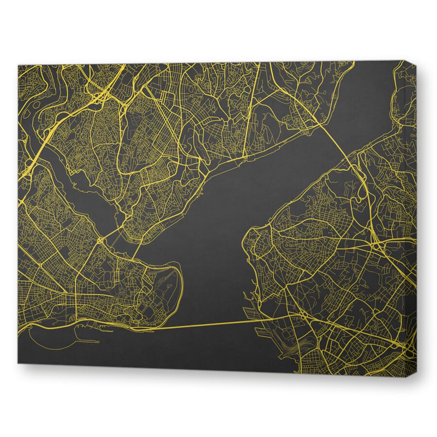 The contours of Istanbul на подрамнике
