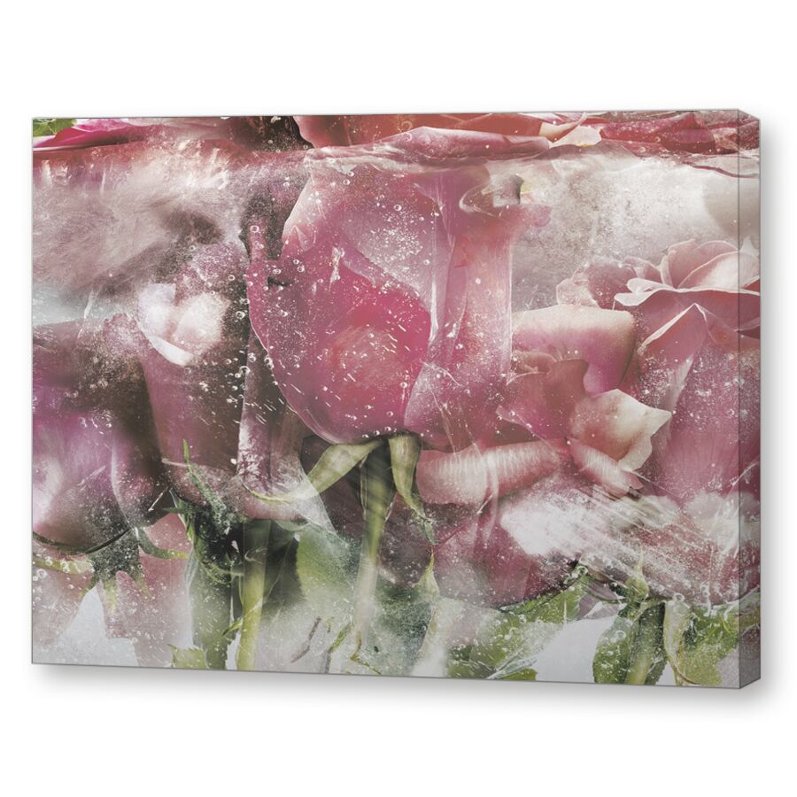 Ice roses pink на подрамнике