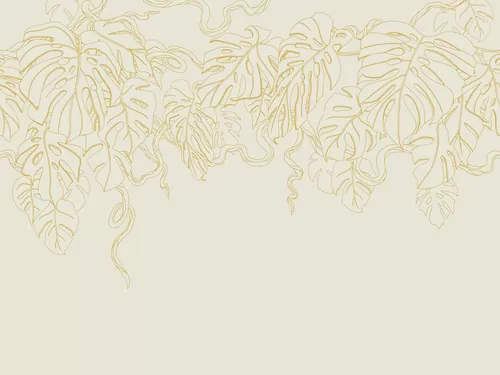 Monstera beige