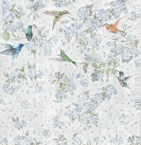 Colibri