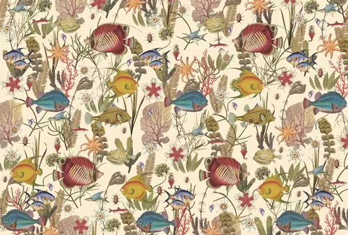 Coral reef 2