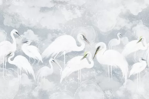 Herons in the clouds