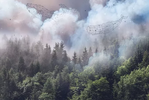Forest whales