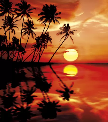 Яркий закат