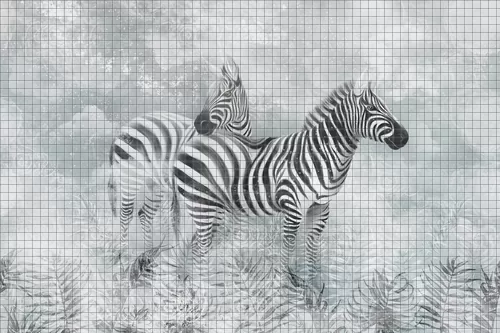 Зебры в тумане