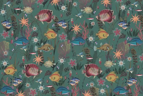 Coral reef 3