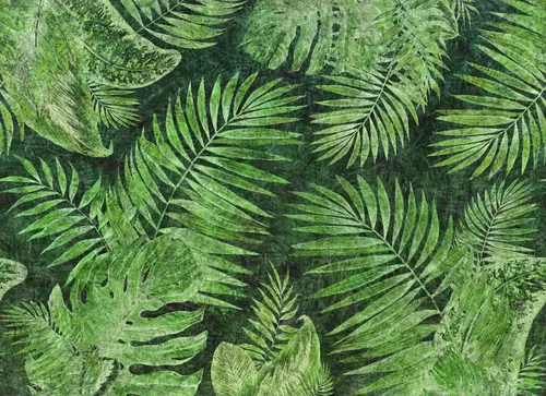 Tropical