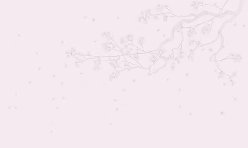 Sakura branch white