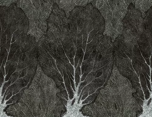 Foresta