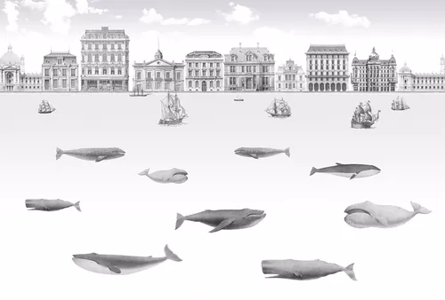 Whales 3
