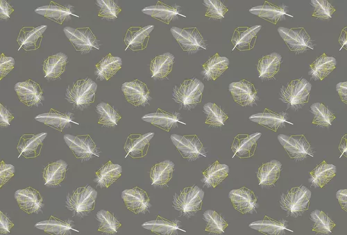 Feather geometry gray