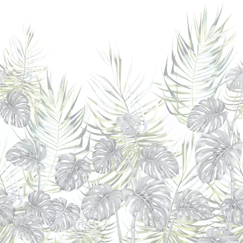 Palm leaves green