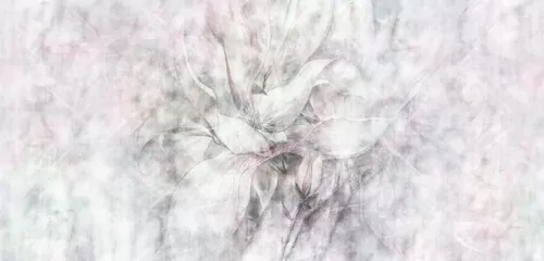 Avrora