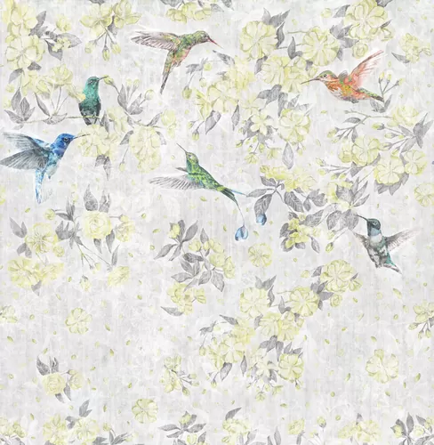 Colibri