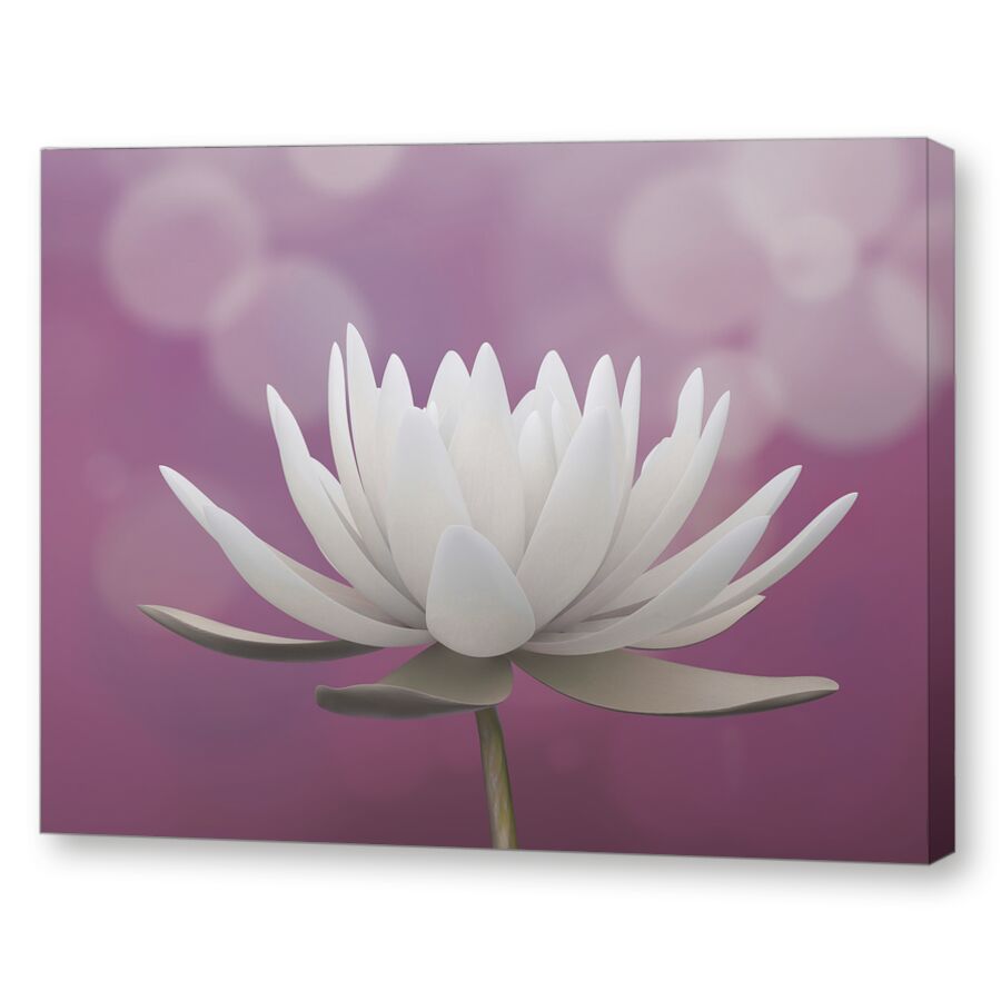 Лотос на подрамнике