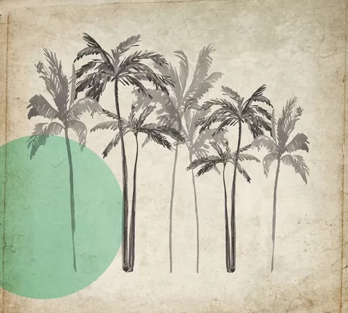 Серые пальмы и зеленое солнце