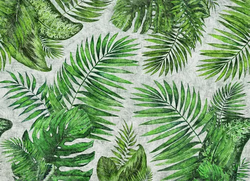 Tropical