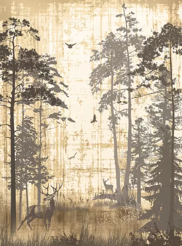 Shades. Northern forest