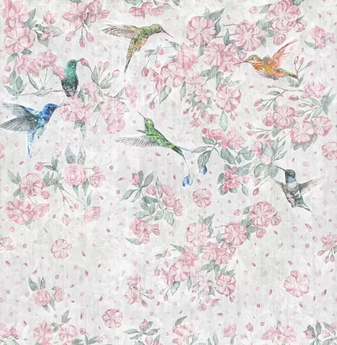 Colibri