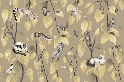 Fancy beige