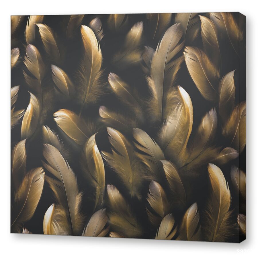 Feather gold на подрамнике