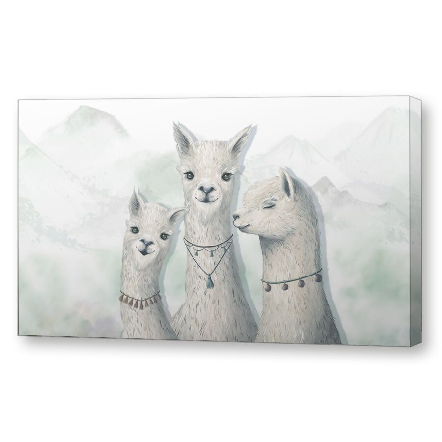 Экзотические ламы на подрамнике