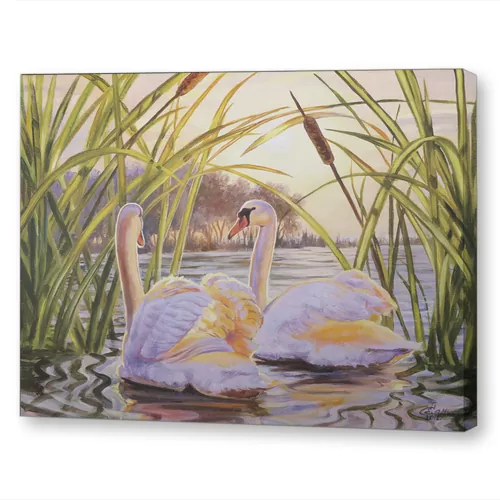 Вечерняя прогулка