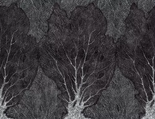 Foresta