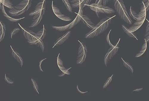 Feathers