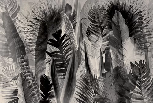 Feathers and leaves light