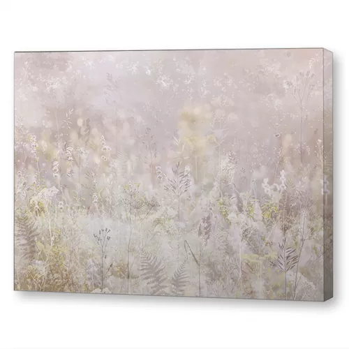 Луг с дикими травами